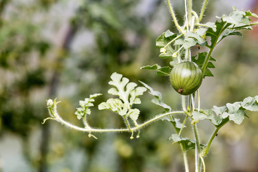 Similar image 22373429