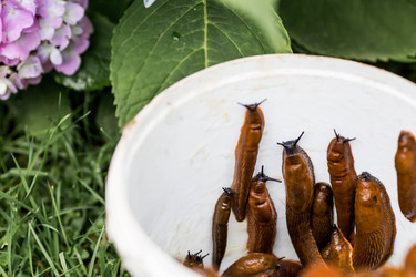 Similar image 22373433