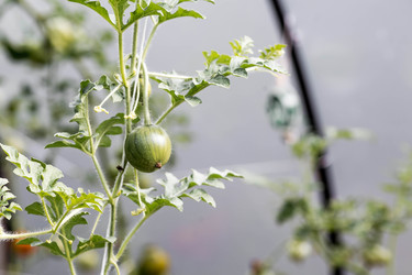 Similar image 22373446