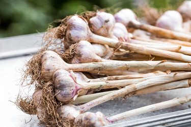 Similar image 22373449