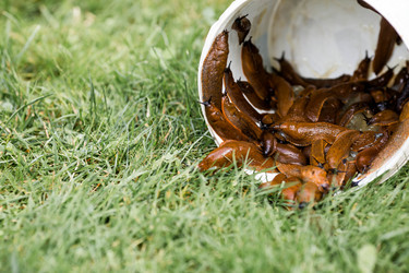 Similar image 22373451