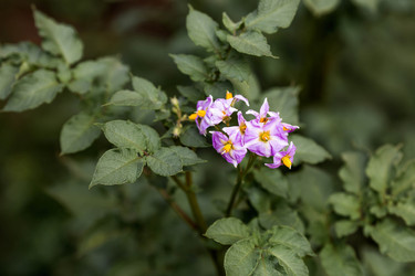 Similar image 22373285