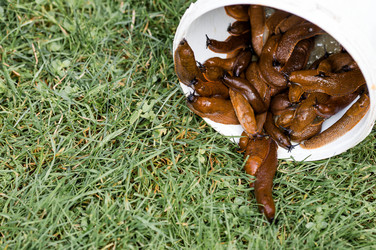 Similar image 22373286