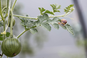 Similar image 22373287