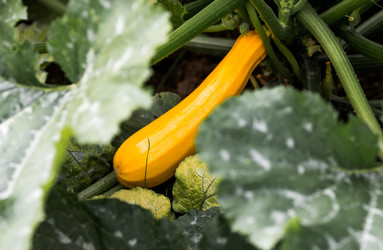 Similar image 22373289