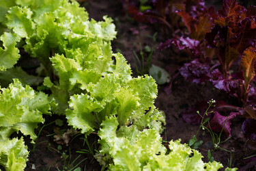 Similar image 22373291