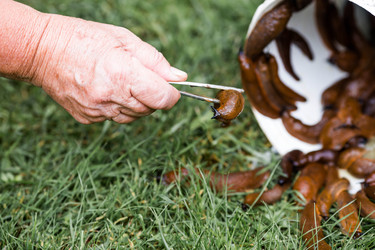 Similar image 22373292