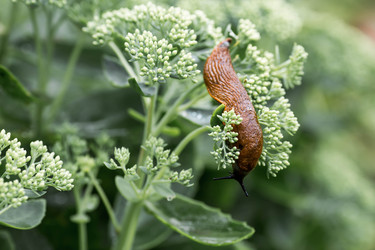 Similar image 22373293