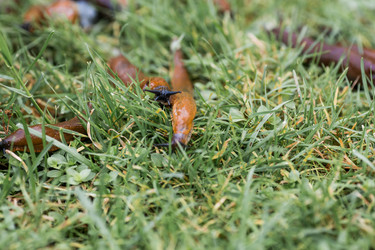 Similar image 22373300