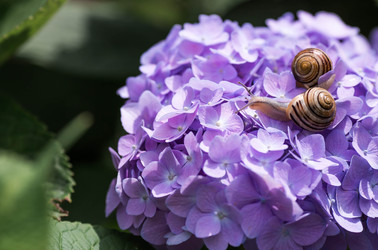 Similar image 22373304