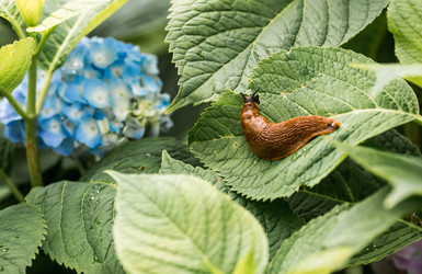 Similar image 22373305