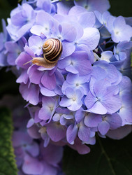 Similar image 22373306