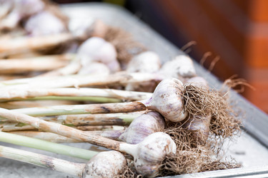 Similar image 22373308