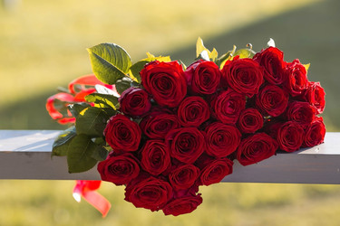 Similar image 22373322