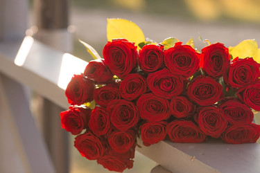 Similar image 22373323