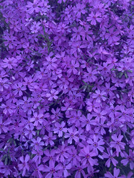 Similar image 22360844