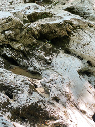 Similar image 22360856