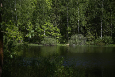 Similar image 22375371