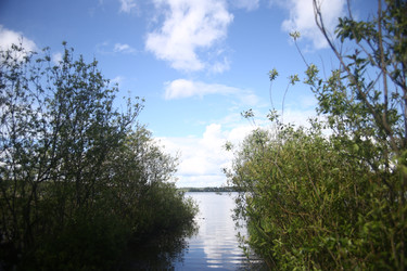 Similar image 22375384