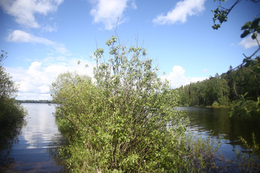 Similar image 22375400