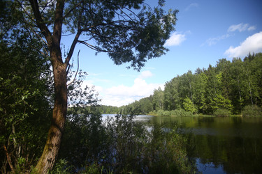 Similar image 22375411