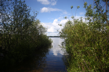 Similar image 22375415