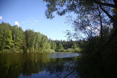 Similar image 22375424