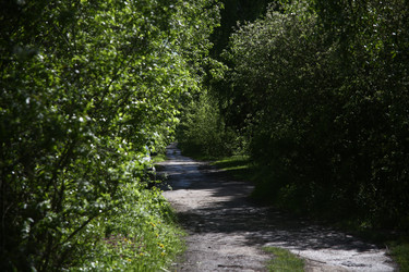 Similar image 22375425