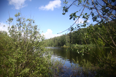 Similar image 22375442