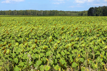 Similar image 22360909