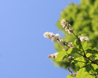 Similar image 22378784