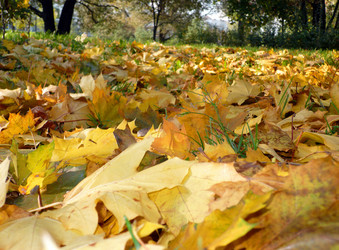 Similar image 22378814