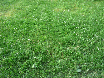 Similar image 22378844