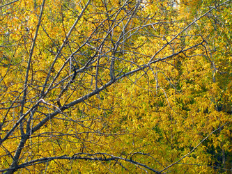 Similar image 22378889