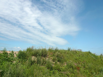 Similar image 22378918