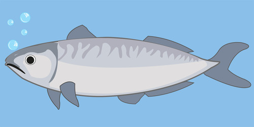 Similar image 22361324