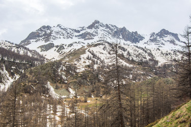 Similar image 22371840