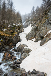 Similar image 22371853