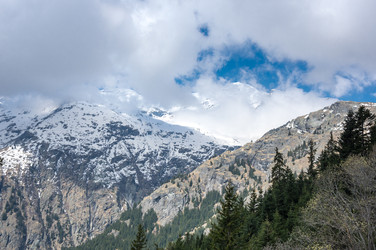 Similar image 22371866