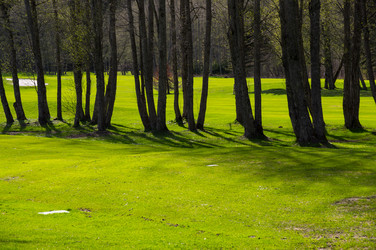 Similar image 22371870