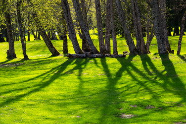 Similar image 22371902