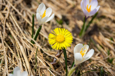 Similar image 22371904