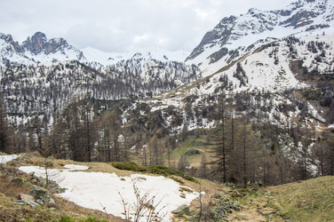 Similar image 22371916