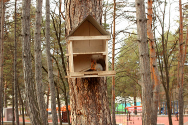 Similar image 22373479