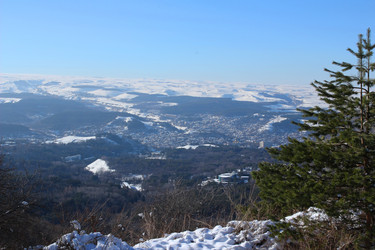 Similar image 22373480