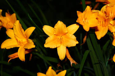 Similar image 22375428