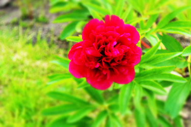 Similar image 22375430