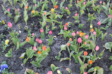 Similar image 22375443