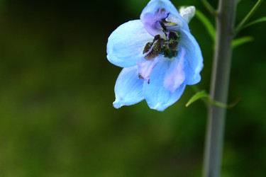 Similar image 22375444