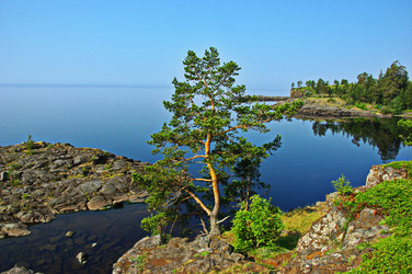 Similar image 22373539